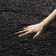 Fiodor Solid Colour Area Rug