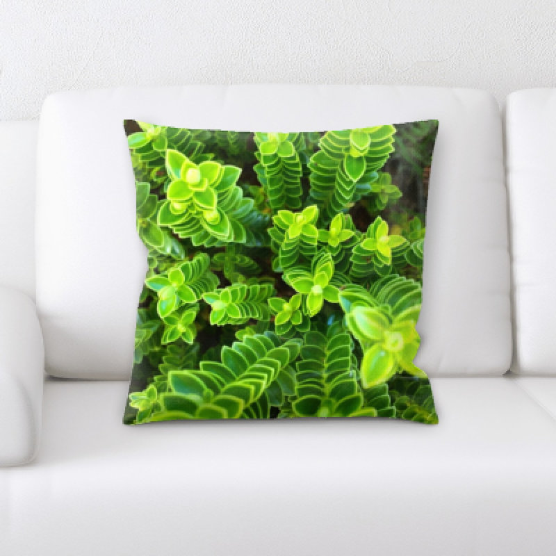 Go Pro Microsuede Reversible Throw Pillow