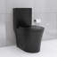 Toilette allongée une pièce à double chasse 1,1 / 1,6 GPF noir mat 1000G
