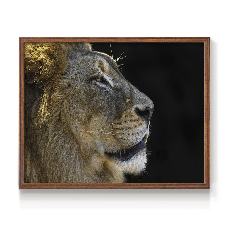 The King - Reproduction encadrée - Restickable, H 22 po x l 28 po, Noyer