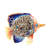 Westin Butterfly Fish Figurine