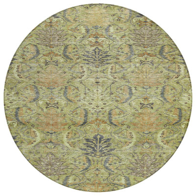 Chayil Area Rug with Non-Slip Backing