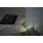 Canary Products Dual Mist Evaporative Tabletop Humidifier with Adjustable Humidistat for 150 cu. ft.