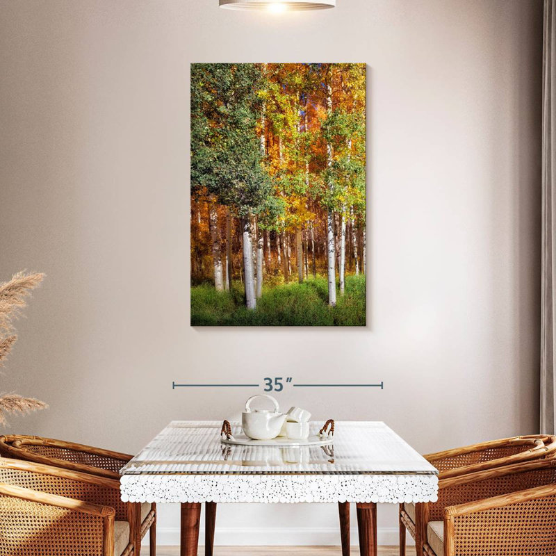 Alvord Aspen Glen I, H 45 po x l 30 po