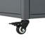 Chariot de barbecue pliable pour l'extérieur-1195984334