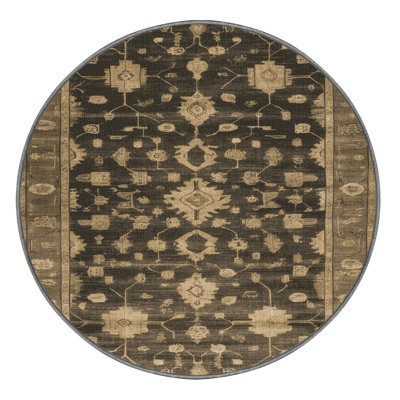Machine Washable Overdyed Brown Area Rug