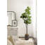 Figuier en figuier avec pot Portell-840316665-844837719