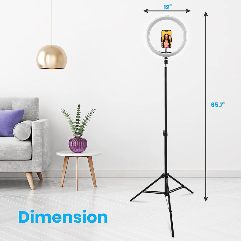Inbox Zero Single Screen Floor Stand Mount, 65.7'' H x 12'' W