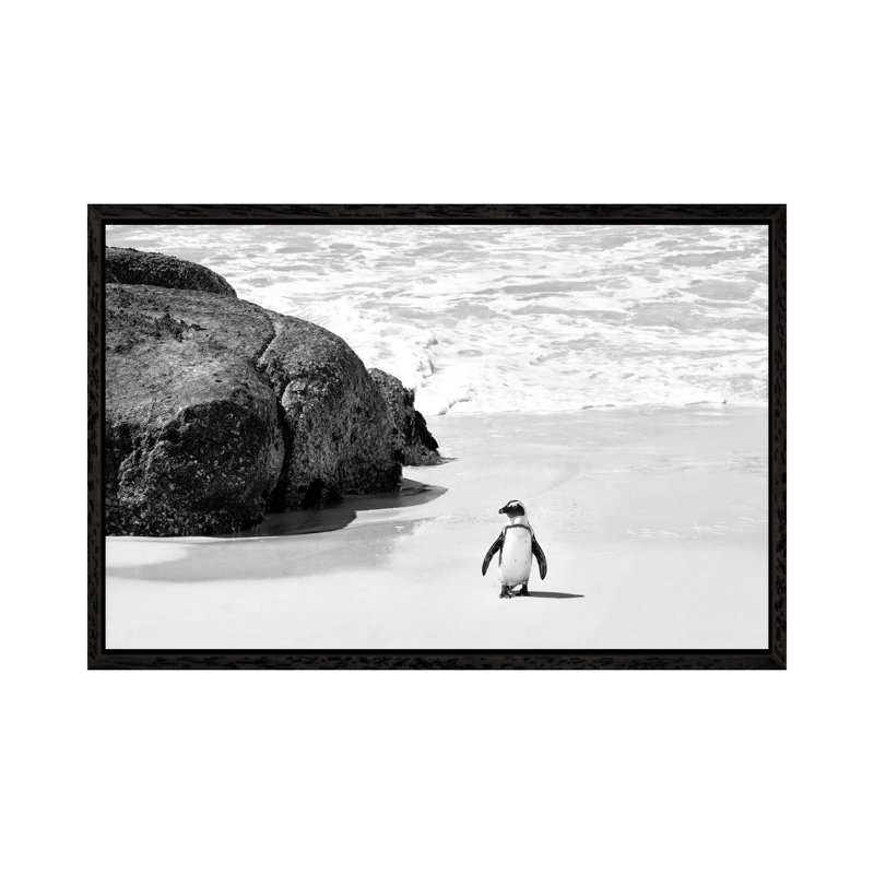 Penguin At Boulders Beach by Philippe Hugonnard - Gallery-Wrapped Canvas Giclée on Canvas, 66.04 cm H x 45.72 cm W