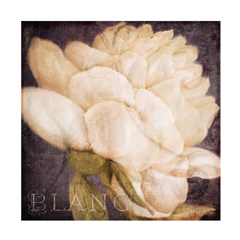 Art sur toile «Bachelor Sasha Coleurs Blanc »_ALI73238, H 14 po x l 14 po