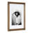 Helf Wood Beveled Picture Frame - Set of 10 with Mat-1694307697