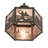 Fly Fisherman Ceiling Fan