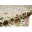 Chantel Floral Area Rug