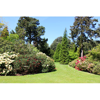 Beautiful Landscaped Garden, With Flower Beds, Shrub Borders, Trees, Lawn by Mtreasure - Art Prints
