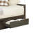 Ruchi Daybed