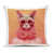 CHAT ORANGE