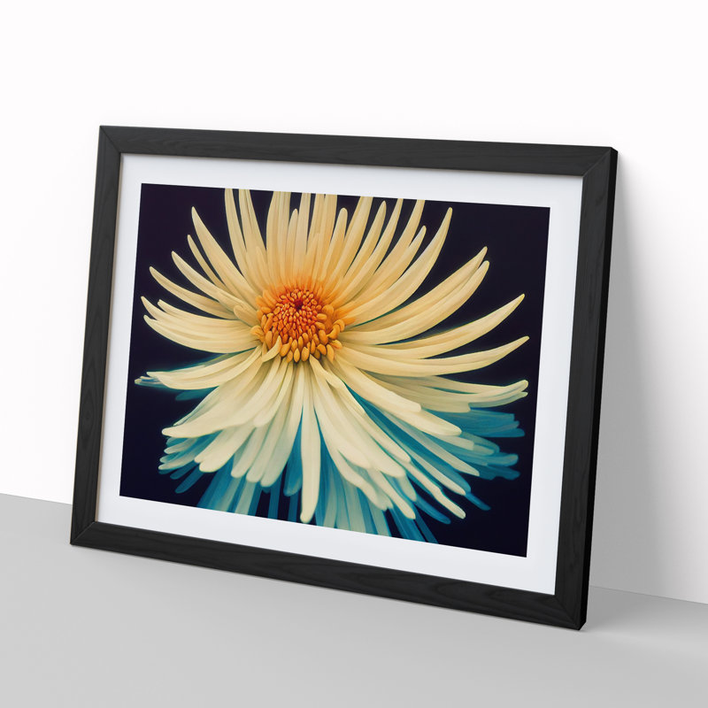 Intriguing Chrysanthemum Flower - Single Picture Frame Painting, Black, 46cm H x 64cm W x 2cm D