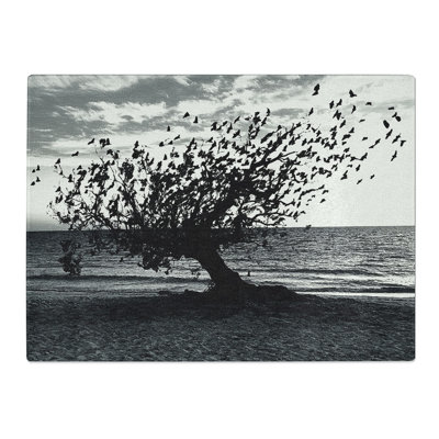 Tree Photography  Glass Chopping Board
