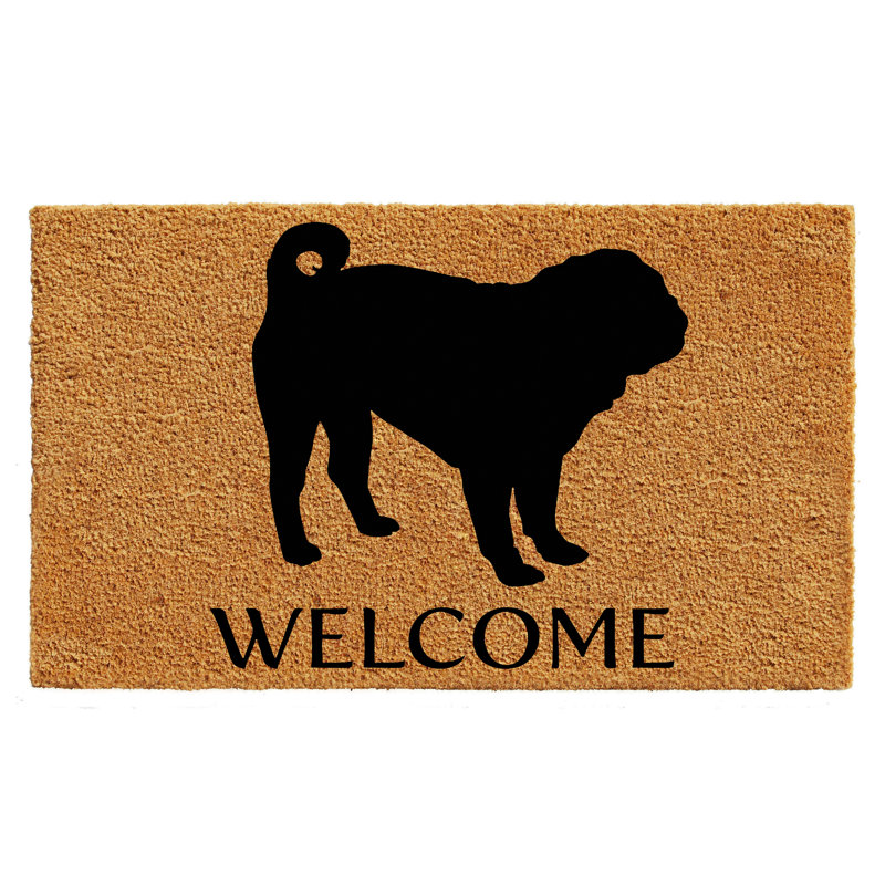 Tapis de porte d’extérieur antidérapant carlin Bailley, L 0,6 po x l 36 po x P 24 po