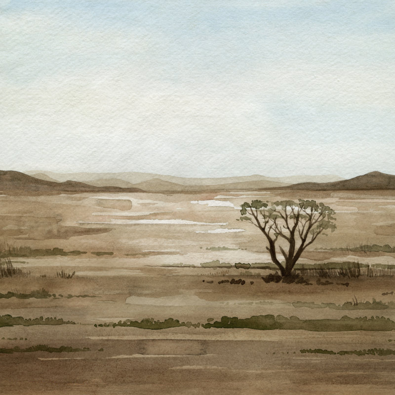 «Clear Savannah II» par Grace Popp - peinture sur toile tendue, H 30 po x l 30 po x P 1,25 po