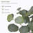 Indoor Artificial Eucalyptus Tree-200749666
