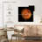 Oberle Venus Close Up-109153627