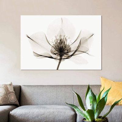 Robert Coop - Wrapped Canvas Print