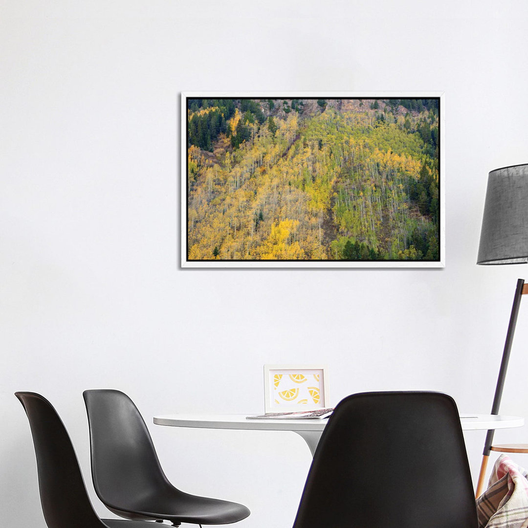 Aspens In Autumn von Bill Sherrell - Galerie-verpackte Leinwand Giclée auf Leinwand