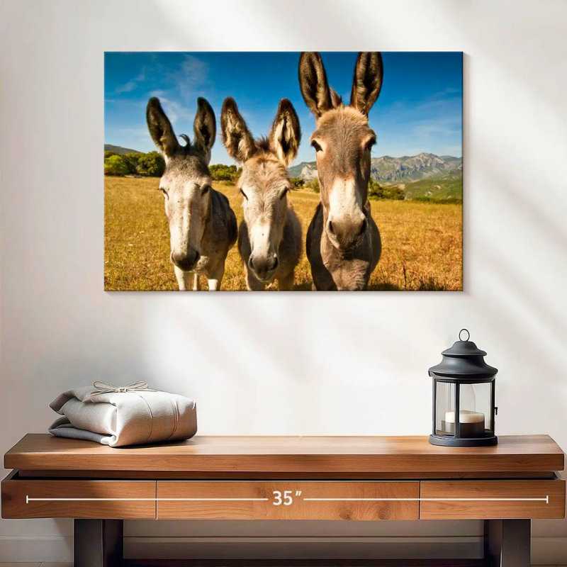 Brampt Donkey Trio, H 16 po x l 24 po