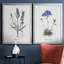 Lavande - ensemble de 2 reproductions d'impressions-467967546-467967545-467967544
