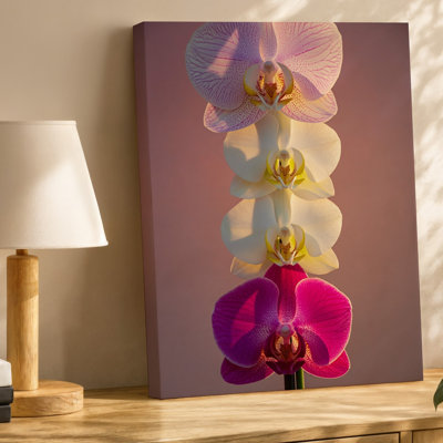Toile, "Arrangement vertical" de trois délicates orchidées sur fond de dégradé rose pâle