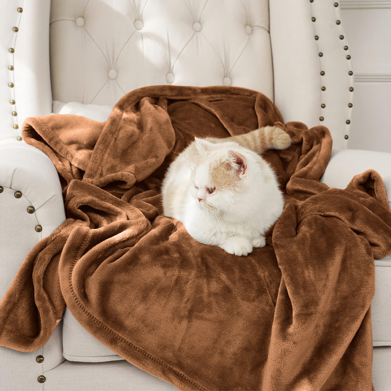 Couverture en molleton grand - 300 g / m², Café, Grand lit