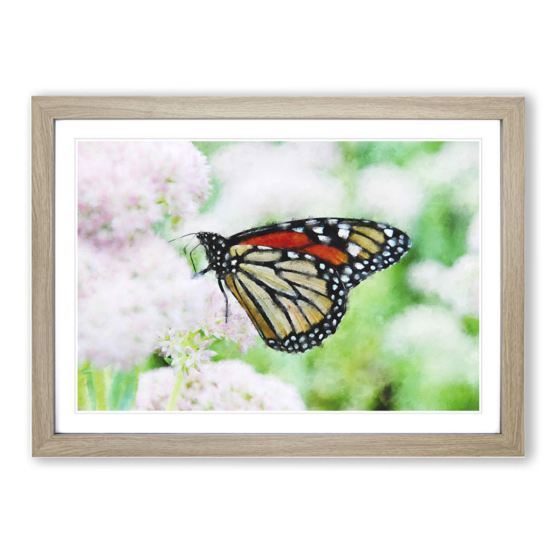 Monarch Butterfly - Picture Frame Graphic Art, 27cm H x 36cm W x 2cm D, Oak