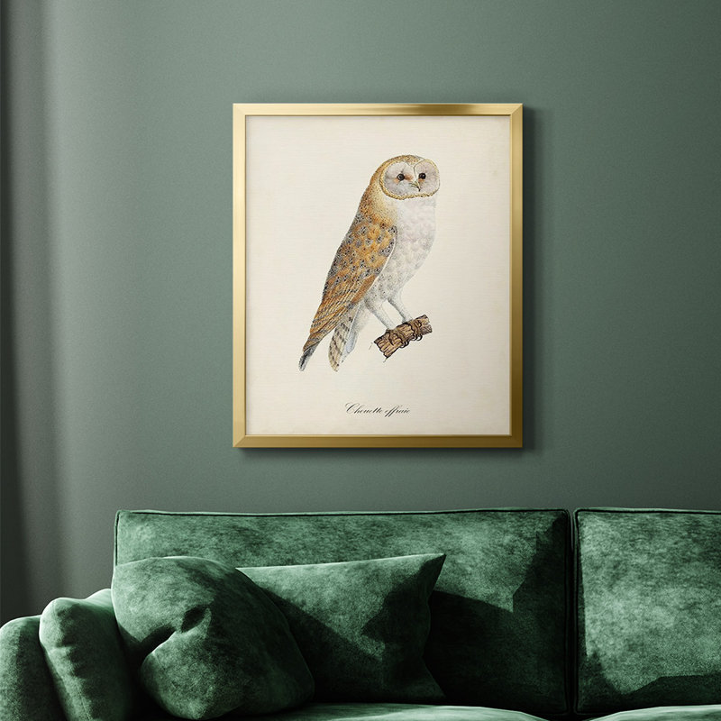 French Owls VI - Toile encadrée de qualité supérieure - prête à être accrochée, Or, H 24 po x l 20 po