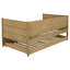 Lit de jour simple avec couchette Natural-1345201821