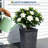 16" Set of 2 Tall Planters with Drainage Holes＆Water Level Monitor for Outdoor＆Indoor-1585732867