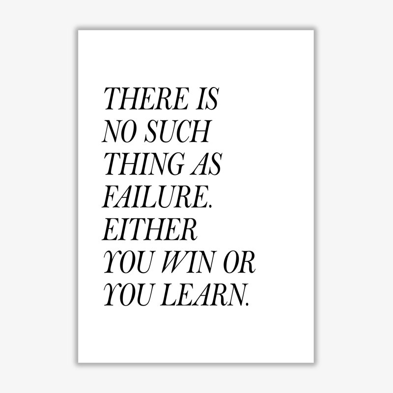 No Such Thing As Failure - Print, 42 cm H x 30 cm W x 1 cm D, No Frame