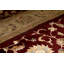 Oriental Area Rug