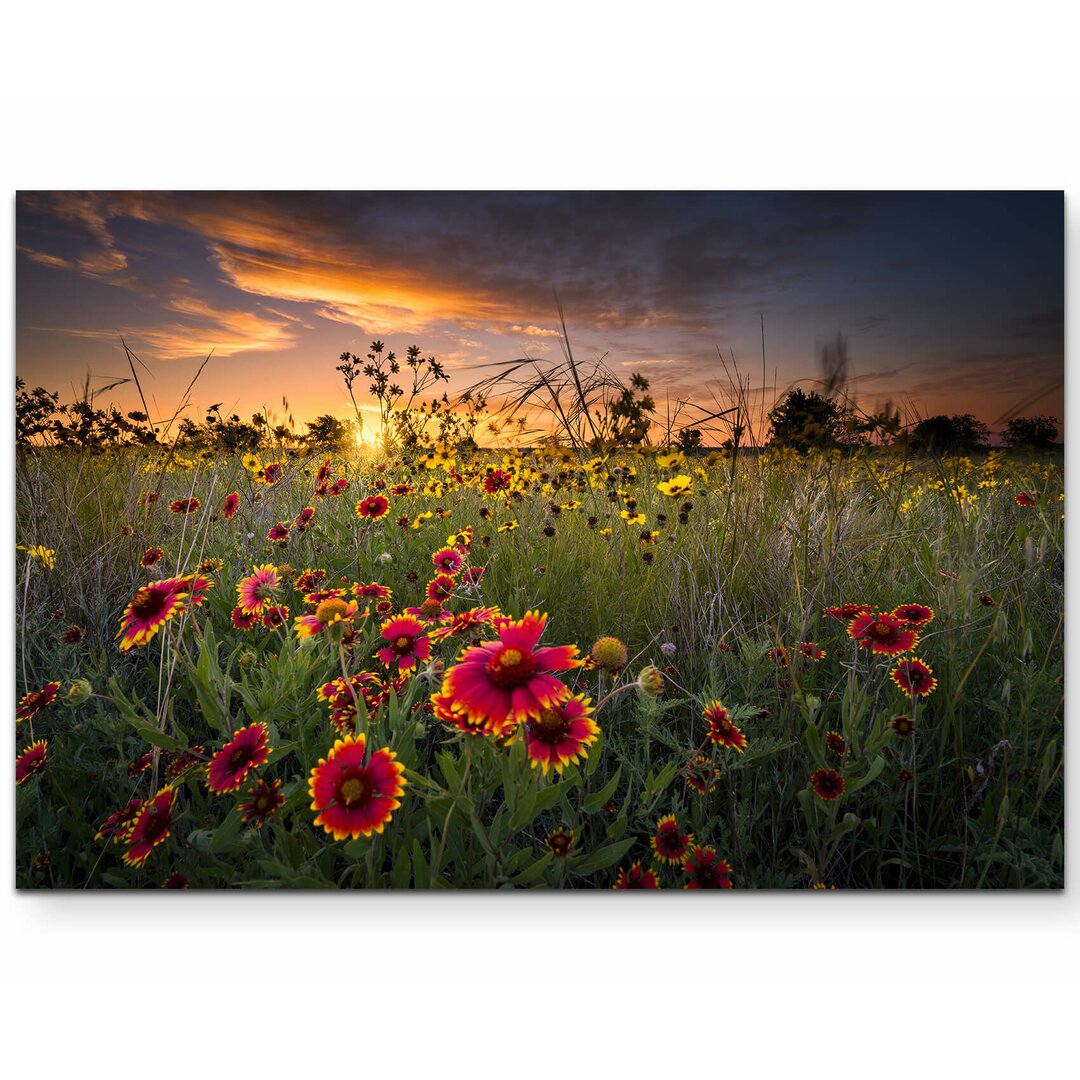 Leinwandbild Bunte Wildblumenwiese im Morgengrauen