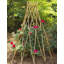 Treillage extensible en bois de saule-835786595-890657672