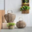 Lanterne ovale 13 x 13 x 13,8 po Coconio