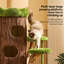 Structure d'escalade moderne et minimaliste pour chat