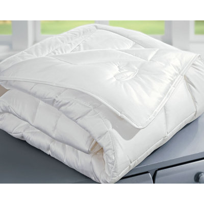 Winter Duck Down Comforter