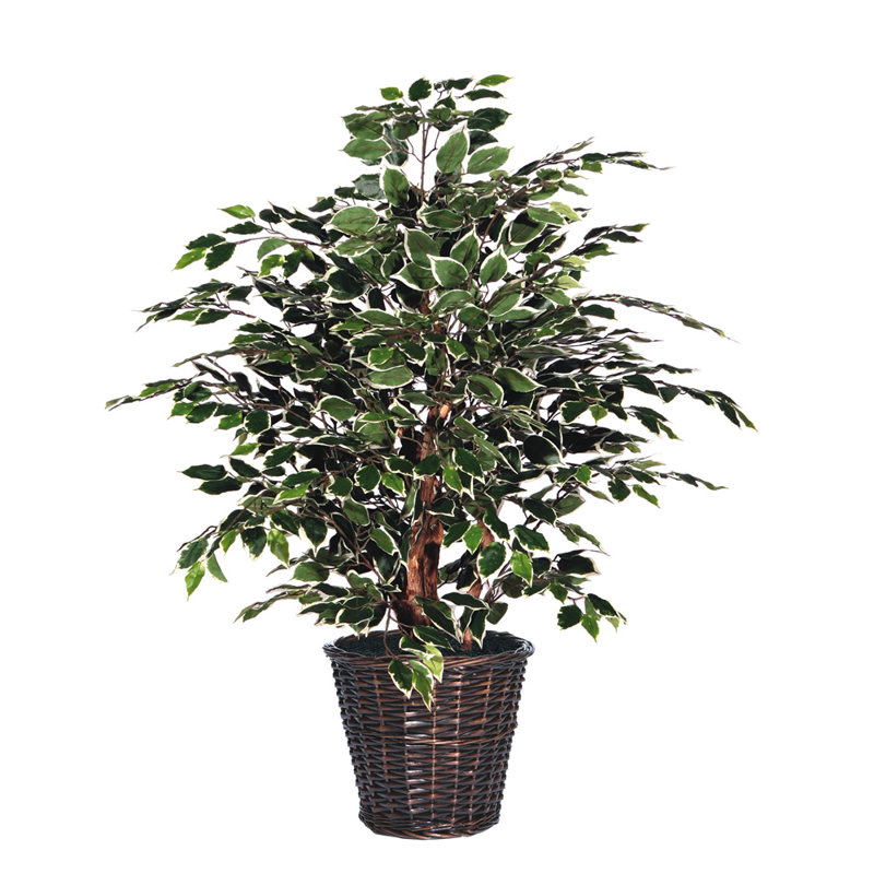 48'' Faux Tree in Wicker/Rattan Basket