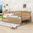 Wooden Daybed with Trundle and Durable Construction-1096017150-1096017149