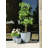 Pot Planter