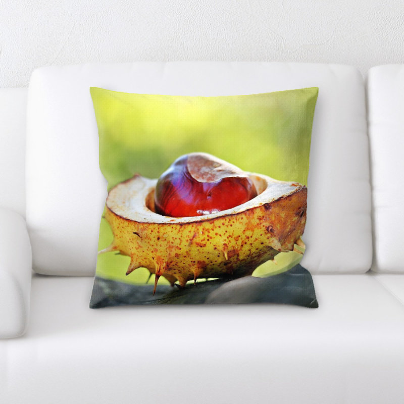 Coussin châtaignier