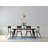 Vandenbosch Chenille Ikat Indoor Rug-742316371