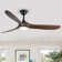 Netrapal 3-Blade Indoor Ceiling Fan with Remote and Light,3 LED Colors,6 Speed DC Motor,Timer