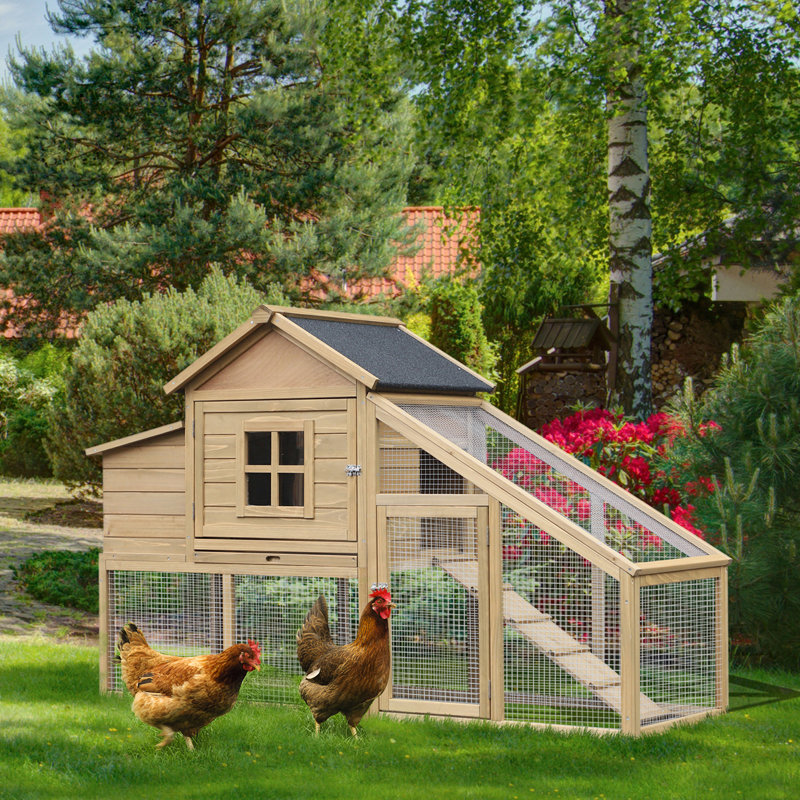 Poulailler en bois de qualité supérieure avec des caractéristiques avancées pour les poules heureuses